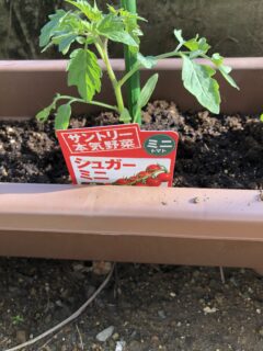 僕のプライベート